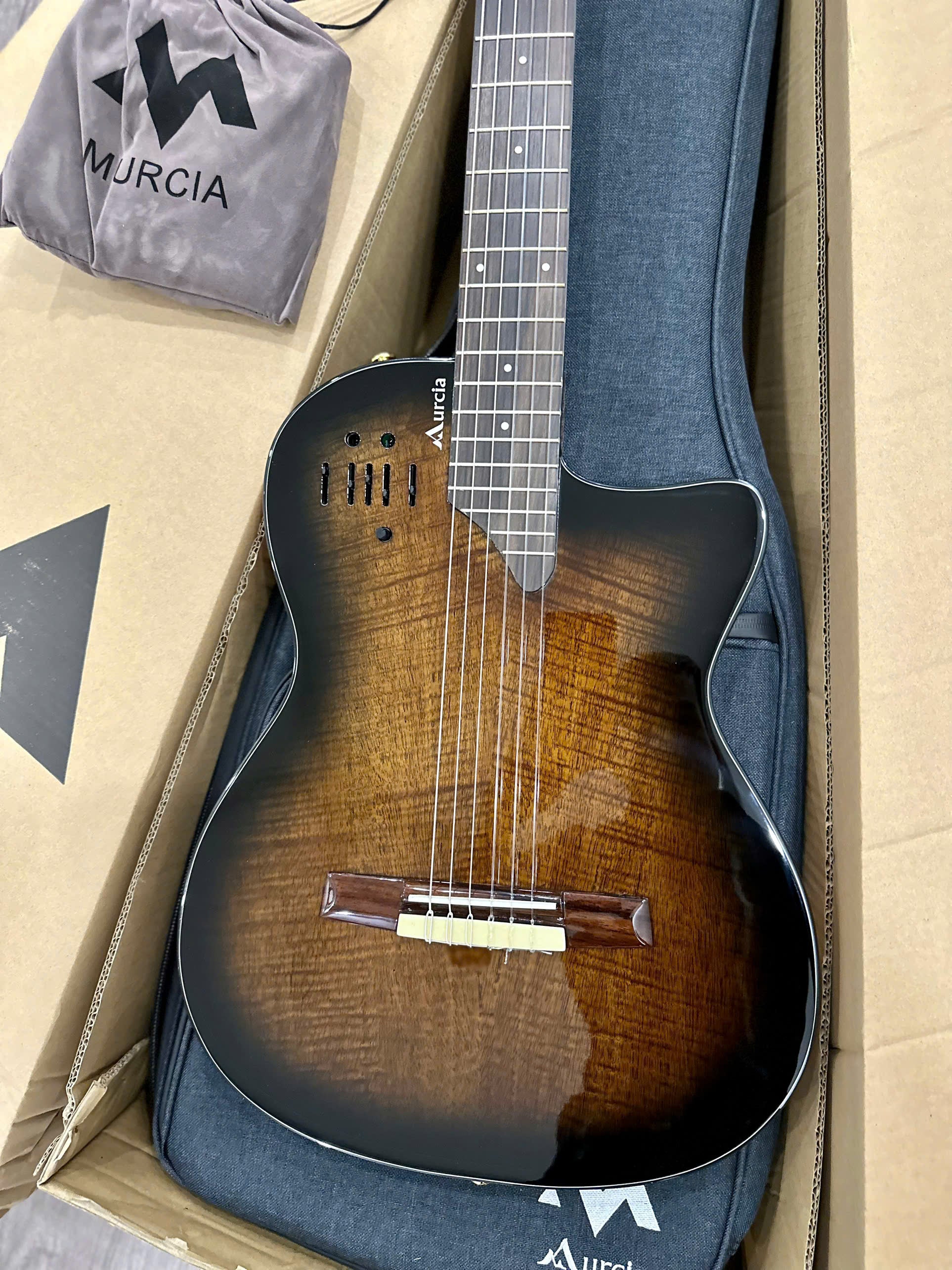 Đàn Guitar Silent Classic Murcia Stage Pro - Việt Music